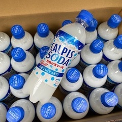 カルピスソーダ48本（2ケース）ペットボトル飲料