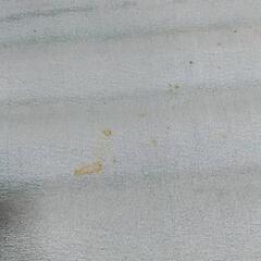 六畳用絨毯の画像