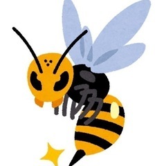 蜂の巣の駆除でお困りなら‼️