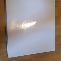 鬼滅の刃　描き下ろしイラストA4キャラファイングラフ