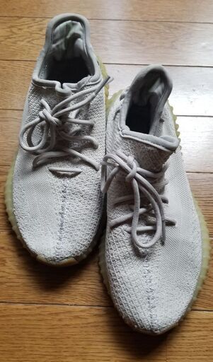 その他 Adidas Yeezy Boost 350 V2