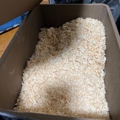 ハムスター 飼育セット