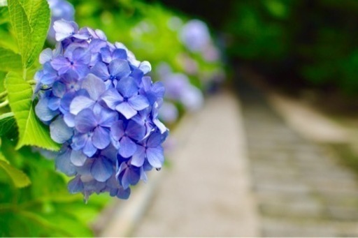 終了。Nikon D3200 ダブルズームキット＋35mm1:1.8G単焦点レンズ＋おまけ付き