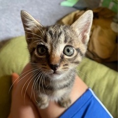 元気過ぎる男の子です
