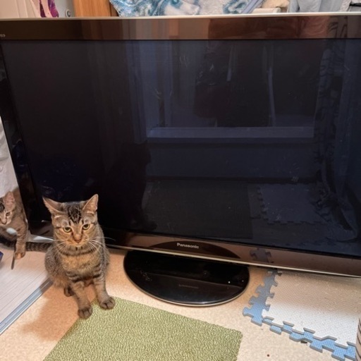 パナソニック42インチ3Dテレビ　高画質