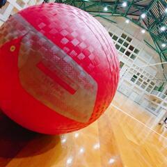 大阪ソフトバレー