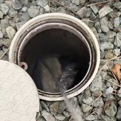 ◎プロの技術で必ずご満足いただけるように精一杯心を込めて作業いたします！ − 大阪府