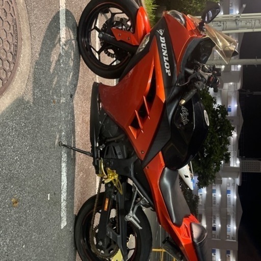 ニンジャ250