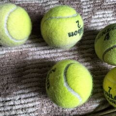 中古　テニスボール　５個の画像