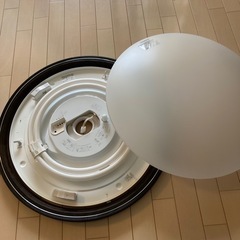 National シーリングライト ムシベール