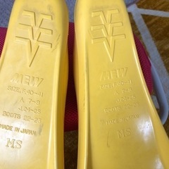 フィン（GULL MEW）の画像