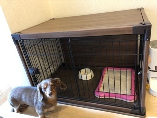 【美品】ペットケージセット 犬 猫