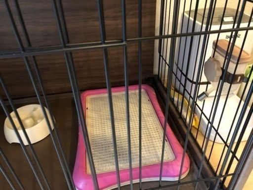 【美品】ペットケージセット 犬 猫