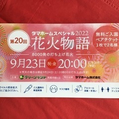 グリーンランド入園券