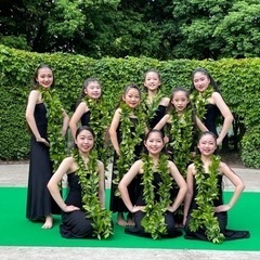 ハワイアンフラの画像