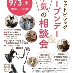 キャットビレッジオープンデー - 横須賀市