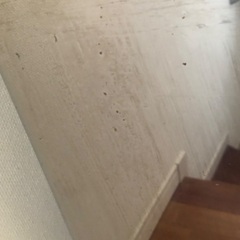ダストボックス   zapady-dooで購入の画像
