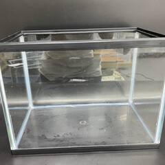 水槽 プラスチック 飼育 ペット アクアリウム 鑑賞 金魚 メダ...