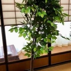 【直接取引】人工観葉植物①