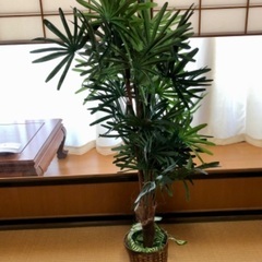 【直接取引】人工観葉植物②