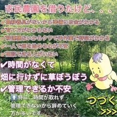 【無料】足柄上郡中井町で畑中間募集 - 足柄上郡
