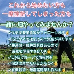 【無料】足柄上郡中井町で畑中間募集 - 友達
