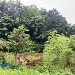 【無料】足柄上郡中井町で畑中間募集 − 神奈川県