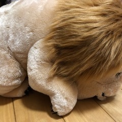 シャクレルプラネットの画像