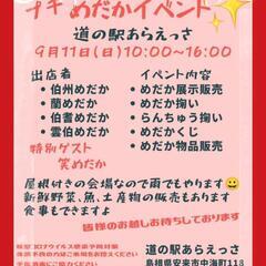 プチめだかイベント