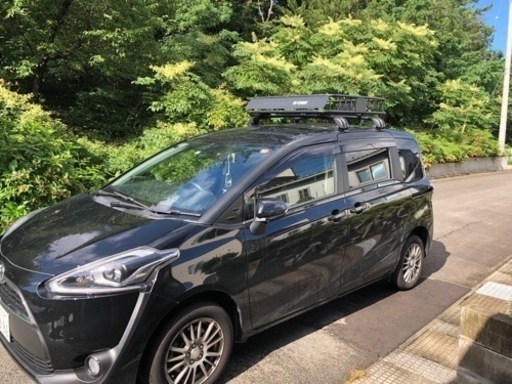 CURT ルーフラック・Terzo エアロバー