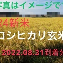 新米【🌾1袋からお譲りできます🌾】茨城産 新米 採れたて R4....