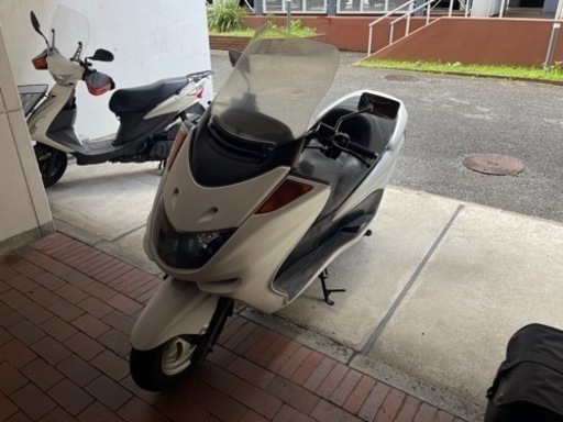 【YAMAHAマジェスティー】SG03J 絶好調　マジェスティ前後バリ山即乗り