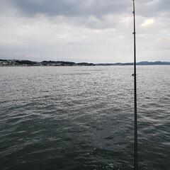 釣りに行きませんか？　サーフなど！