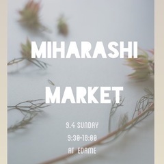 9月4日　メダカすくい　メダカ展示販売