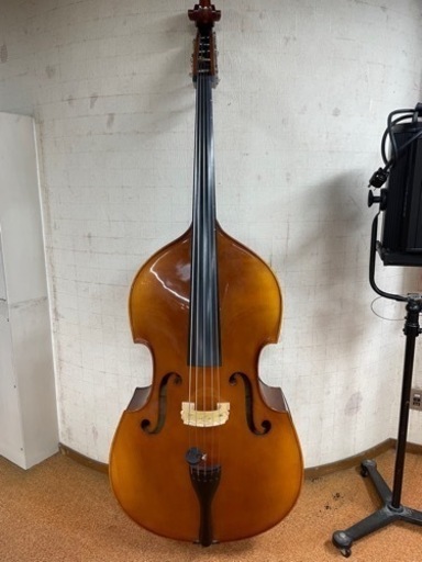 【商談中】コントラバスReghin レジン 5弦 4/4サイズ ウッドベース