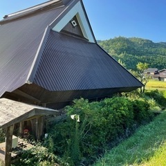畑作業とDIY