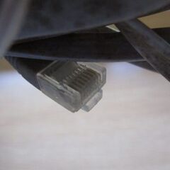 LANケーブル　長めの画像