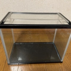 【受け渡し決定】水槽(小さめ)とアクセサリの画像