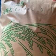 令和4年産 コシヒカリ　8月末収穫