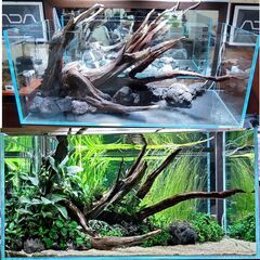 【現金可】流木付き!ADA120×50×50　ソーラーRGB×2...