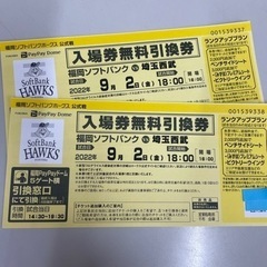9月2日18時試合開始　ソフトバンクホークス　西武　野球　チケッ...
