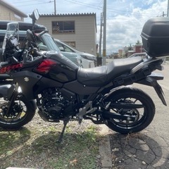 vストローム250（日曜日に消します。最後に下げました）の画像