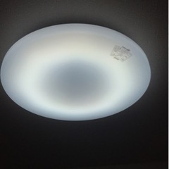 証明3点　9/5まで！の画像