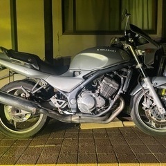 バリオス250 規制前 本日限定値段の画像