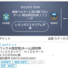 9/3 湘南ベルマーレvs川崎フロンターレ チケット