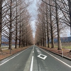 友達探し