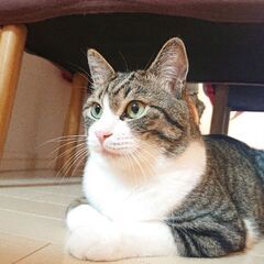 ツーリング メンバー募集！                  − 大分県
