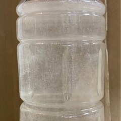 ゾウリムシ　密度濃厚500ml／メダカ　針子　生き餌　エサ／種水 培養