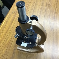 生物顕微鏡　　300倍の画像