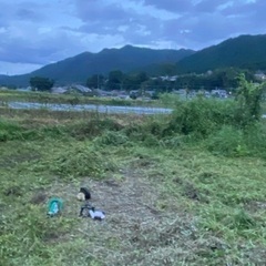 一緒に畑で野菜作りしませんか？